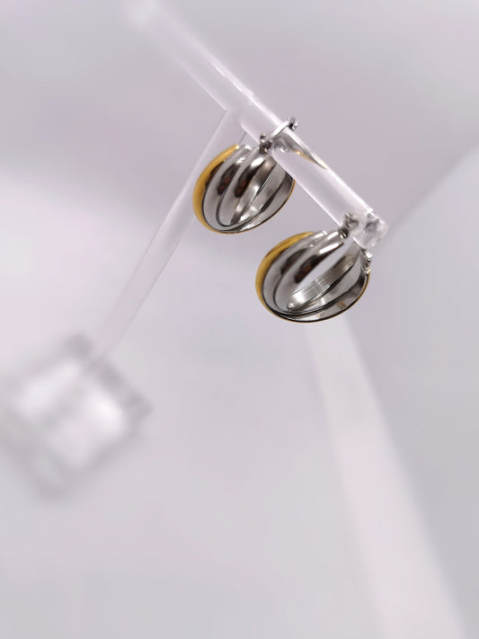 Shell Rings