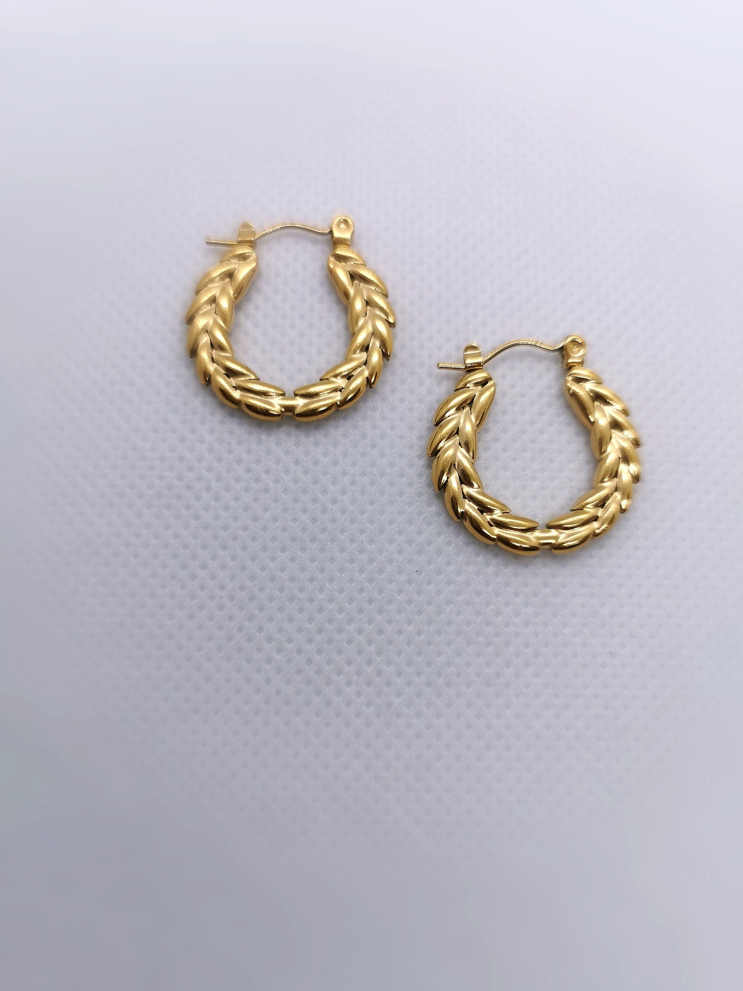 Olimpyc Rings